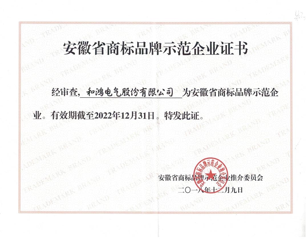 Anhui Provincial Trademark and Brand Model Enterprise